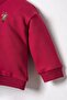Baby Boy Embroidered Burgundy Long Sleeve Pajama Set Usb3170-C-V1 - 5