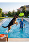 Frisbee Dog Toy 21 cm |   Rubber Training & Exercise Disc - 4