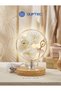 Ballerina Flower Globe Wooden Base Illuminated Led Night Light USB Cable Decorative Table Lamp Gift Globe 13 cm