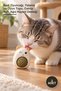 3 Pieces of Catnip Licking Ball with Teddy Bear – Cat Toy, Licking and Playing Ball, Catnip Ball, Oral Hygiene Support