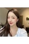 Heart Charm Contour Hoop Earrings Bijouterie Vintage Anti-Allergic Women's Earrings Gift Flashy Models - 6