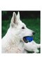 5 Pieces of Sound-Activated Food Play Balls – 7 cm Diameter Dog Toy, Fillable with Food, Squeaky Dog Toy, Blue Pink Mixed - 5