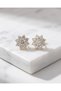 Petavia Zircon Stone Flower Steel Xuping Earrings