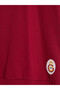 Esvab • Modern & Distinctive Licensed Printed Boys' Sweatshirt - 6