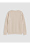 Two Mt Shop Quality Lcw Kids Beige Oval Collar Boys' Sweatshirt - 3