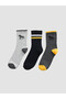 Embroidered Boys' 3-Piece Socks from Uzg Store for Style Enthusiasts - 2
