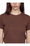 Two Mt Shop Quality Lcw Everyday Brown Diving Fabric Plain Standard & Regular Short Sleeve Women's T-Shirt - 4