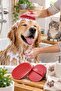 Red Ergonomic Massage Cat and Dog Washing and Hair Combing Brush - 3