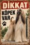 Afghan Hound Beware of Dog Retro Metal Sign Decorative Warning Sign 30X40 cm