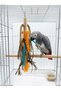 Jako Ve Stress Relief Wooden Toy Set for Large Parrots (3 Pieces) - Food-Dyed Feather Plucking Prevention - 5