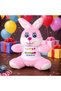 1 Piece Plush Rabbit - 25 cm Soft Fluffy Toy, Birthday Gift Bunny Plush with Happy Birthday Printed T-Shirt - 2