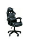 2-in-1 Ergonomic Gaming & Office Chair, High Back Racing Style Adjustable Computer Chair for Home Working & Gaming