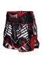 Tbs-Demon Muaythai Shorts - 2