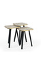 Spectra Coffee Table Set of 3 - 2