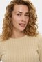 Shanu Beige Crew Neck 100% Cotton Embroidered Standard Fit Women's Knitwear - 4