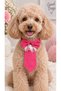 Pink Adjustable Ribbon Cat and Dog Tie - Pet Accessory with Bow Tie (Max Neck Circumference 50 cm) - 3