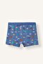 Printed 3-Pack Boxer Boy (26 Au) - 3