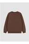 Brown Snoopy Printed Boys' Sweatshirt - 6