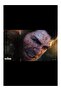 PS5 Marvel's Wolverine Oyun - 5