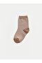 Quality Pieces from Çelebi Store Embroidered Baby Boy Socks 5-Piece Set - 4