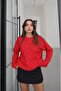 Red Crew Neck Sequin Sweater