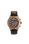 Pen Set + Watch - 2