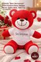 1 Piece Plush Teddy Bear - Red Plush Gift with T-Shirt and "I Love You" Written, Plush Teddy Bear, Soft Toy