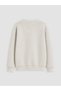 Gray Crew Neck Printed 2-Piece Boys' Thick Sweatshirt - 4