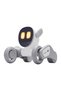 Robotul interactiv Premium - 2