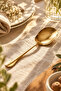 2-Piece Gold Large Size Stainless Steel Serving Spoon Professional Presentation Spoon 25 cm - 2