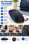 Pg9009 MOUSE - 4