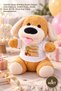 5 Pieces Plush Toy Dog - Happy Birthday Printed Birthday Gift with T-Shirt, Quality Plush, Mustard Color, 25 Cm, Plush Dog Teddy