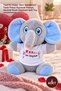 2 Plush Elephants - Plush Toy Gift with a T-Shirt and Heart with "I Love You" Written, Cute Plush Elephant Soft Toy