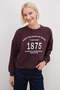 3 Threaded Unprinted 1875 Printed Oversize Sweatshirt - 7