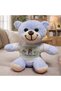 1 Piece Plush Teddy Bear – Couple Themed Blue Bear with T-Shirt, Gift Cute Plush Toy, Plush Teddy - 2