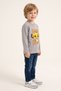 Boy's lion print long sleeve sweatshirt 100% cotton