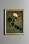White Rose on Green Background - Vintage Patterned Painting - Fine Model