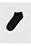 Timeless Clothing & Timeless Choices Women's Booties Socks 3-Piece Set - 2