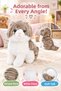 23 cm Gray Plush Cat Toy Soft Cute Cat Figured Children's Toy Birthday Gift Set - 3