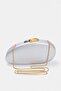 Silver Chain Women's Portfolio & Clutch Bag Takss26Py00010 - 3