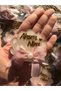 Oyster Model Gift Baby Magnet with Bow (10 Pieces)