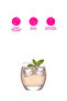 Empire Glass Soft Drink Glasses 6-Pack 405 ml (Water/Whiskey/Cocktail Glasses) - 6