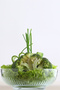 Tokyo Glass Salad Bowl Single Large Size 1500 ml Round (Presentation Bowl, Preparation Bowl) - 4