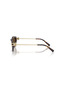 Tf 4231U 80153g 53 & Co. Sunglasses - 2