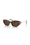 Tf 4231U 80153g 53 & Co. Sunglasses