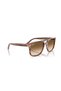 Rb 2213 142351 58 Unisex Sunglasses - 4