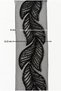 Embroidered Ribbon Accessory with Leaf Pattern on Tulle (1 Meter) - 3