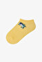 Boys' Captains Island Cotton Striped 3 Pairs Booties Socks - 2