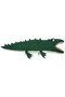 Jeremy Crocodile