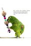 5-Piece Bird and Parrot Toy Set,Natural Wood Swing and Hanging Bell Toys for Parakeets,Cockatiels,and Finches - 6